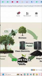 Biomass Power Fuels AI Biochar's Energy Revolution