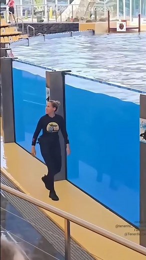 Everyone Shocked When Dance With Dolphin 😱