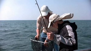 Saltwater jigging for striper and bluefish using bucktails and the Boa Jig'r