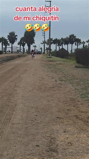 “Primera vez en la playa, mil emociones 🐶💙” “Coco descubriendo el sonido del mar”