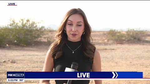 Officials look to reduce wild burro herd near Lake Pleasant