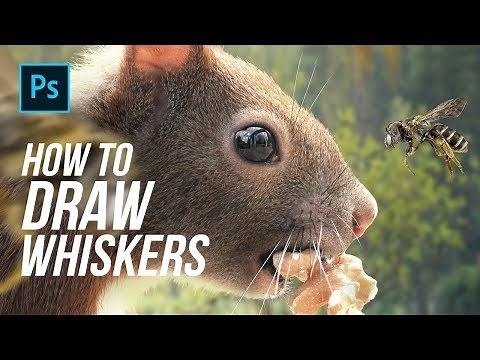 How To Easily Draw Realistic Whiskers in Adobe Photoshop