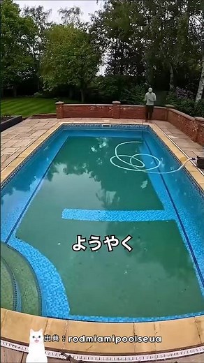 藻が発生したプールが危険な理由