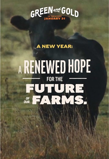 green and gold: A Family Football Story