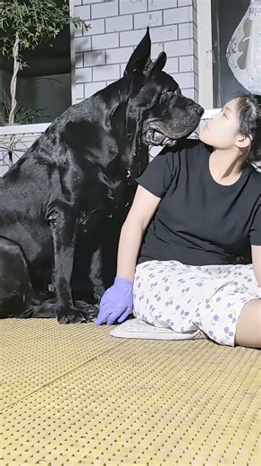 A wonderful partnership Trust creates success@4