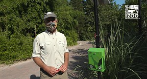 83K views · 3K reactions | Zoo Keys, presented by KeyBank are back at the Cincinnati Zoo & Botanical Garden. The plastic, animal-shaped keys that were wildly popular at the Zoo four decades ago have returned and work about the same way they did in the past! Just insert and turn your key in one of the 20 solar-powered boxes stationed throughout the Zoo, and you will hear a story about a plant or animal that’s nearby! | Cincinnati Zoo & Botanical Garden | Facebook