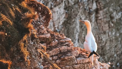 Ultimate All-Rounder? Testing the OM SYSTEM 12-100mm f/4 Lens | Fstoppers