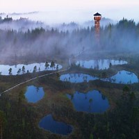 Methane in the atmosphere is at an all-time high – here’s what that means - The Weather Network