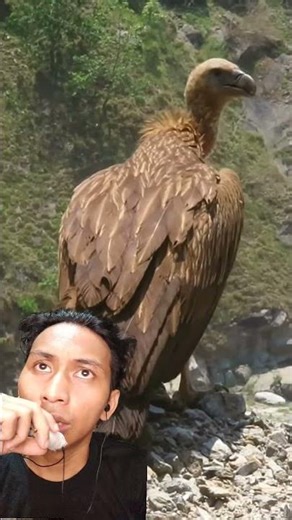 The Bird That Used to Eat Human Bones Ritual in Tibet