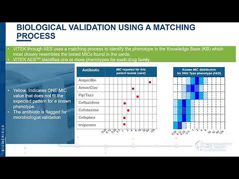 VITEK Advanced Expert System Overview