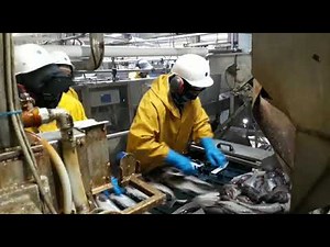 Alaska / Deadliest Catch 2023 / Dutch Harbor #fishingalaska #kingcrabs