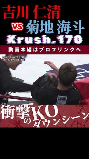 【Krush.170】吉川 仁清　vs　菊地 海斗 / next 2025.2.9.K-1 WORLD MAX 2025 チケット好評発売中！