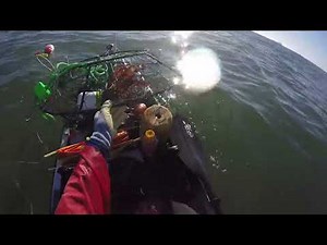 Kayak Crabbing for Thanksgiving Dinner