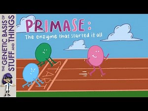 Discovery of primase: a puzzle piece in understanding DNA synthesis