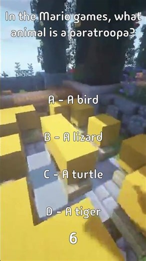 In the Mario games, what animal is a paratroopa?