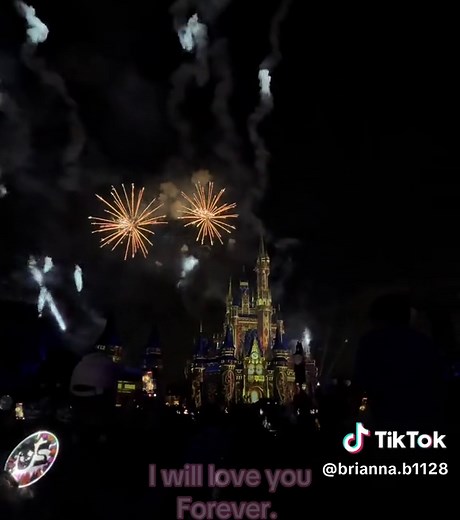 I Will Love You Forever — Disney World Tribute Video