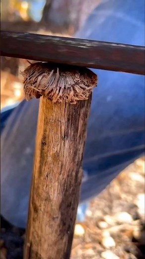 The Earthworms Hate This.