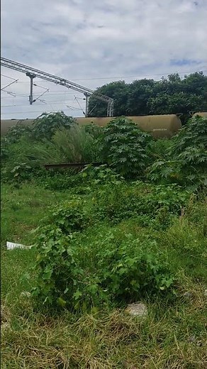 afternoon train timing 1:30