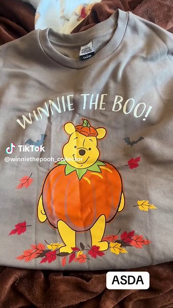 Newest additions to my collection 🐻🍯🐝 #winniethepooh #poohbear #winniethepoohcollection #poohbearcollection #fyp