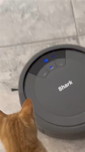 8.8K views · 31 reactions | Introducing the Shark Ion Robot Vacuum –...