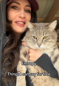 Thermodynamics basically proved: healing requires maintenance. Also proved: my cats are committed to accelerating universal chaos. 😂 #thermodynamics #physics #trauma #traumahealing #neuroscience