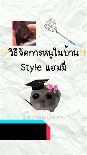 วิธีจัดการหนูในบ้าน สไตล์แฮมมี่ #หนู #แฮมสเตอร์ #แฮมมี่
