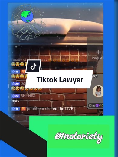 #fyp❤️ #tiktoklawyer #rosealeestilldehbout #suty #rosealeehusband | rose law and order