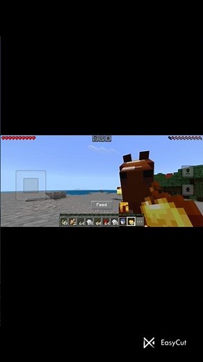How to tame a horse in Minecraft 🐎 #minecraft #shorts