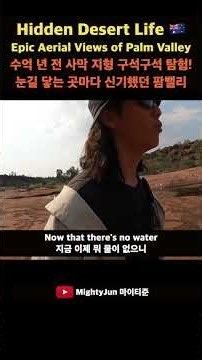 🇦🇺수억 년 전 사막 지형 구석구석 탐험하기! 눈길 닿는 곳마다 신기했던 팜밸리 #호주로드트립 #오지여행 #블루베어