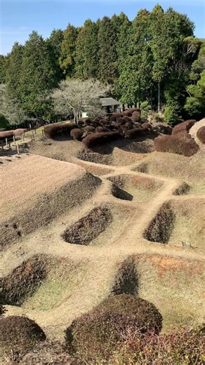 【日本100名城】山中城 障子堀(静岡県三島市)