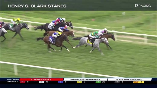 8.2K views · 122 reactions | SIGNATOR ($11.00) surges to win the $100,000 Henry S. Clark Stakes at Laurel Park. This is the first stakes win for the five-year-old horse by Gainesway Farm's Tapit. Samuel Marin was in the irons for Shug McGaughey. | FanDuel Racing | Facebook