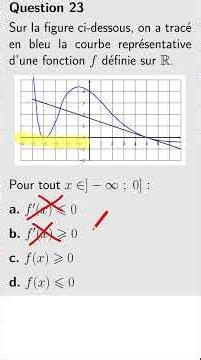 Signe d'une fonction- lecture graphique|Révisions bac maths Spé première Q.23.