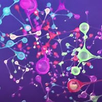 Ecosystems Expand the ‘Art of the Possible’