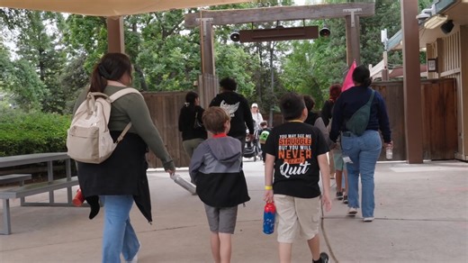 1.5K views | Our Winter and Spring Intercessions have been a great...