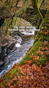 17K views · 1.1K reactions | This is one of the most stunning walks...