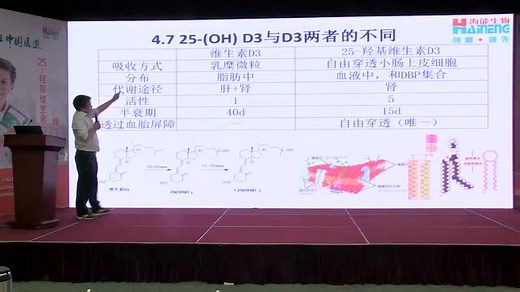 唐飞《25-羟基维生素D3的应用及原理》