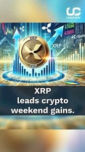Crypto News Today 🔰ETH on-chain activity hits new highs. 🔰Crypto Market Roars Back to Life. 🔰XRP leads crypto weekend gains. #cryptonews #cryptoupdates #eth #xrp #cryptomarket | Unocoin