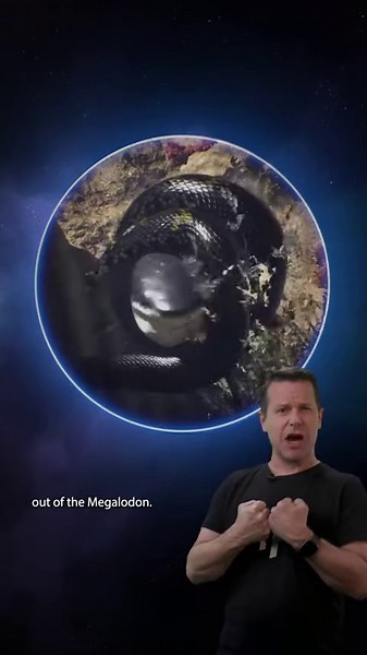 Megalodon vs. Titanoboa: Who Would Win?