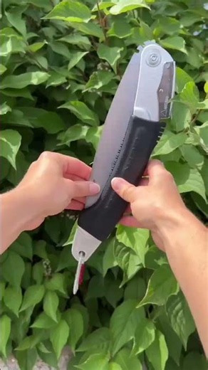 Silky Ultra Accel 240mm Curve Saw | The Handsaw Arborists Keep Reaching For