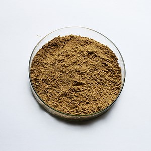 [Hot Item] Paenibacillus Polymyxa Plant Root Colonization Rhizosphere Bio Fertilizer