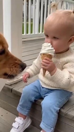 Baby Giving Ice Cream To Dog #cute #Baby #funny #dog | Animal Hub