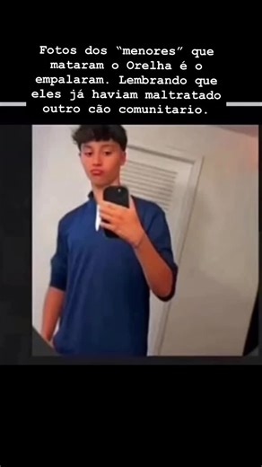 Criminologia on Instagram: "Estudantes do Colégio Religioso Catarinense. • ��Matheus Silva Ferreira • ��Igor Zampieri • ��Evandro Daux Boabaid • ��Pedro Kowalski • ��Enzo Zampieri Os pais, familiares e até eles mesmos são sócios das seguintes Empresas: Free Way Turismo e Viagens Ltda – CNPJ: 07.076.915/0001-20. Femm Participações LTDA – CNPJ: 22.825.284/0002-79 e 22.825.284/0001-98. Luisa Palace Hotel LTDA (Al Mare) – CNPJ: 11.398.946/0002-55 e 11.398.946/0001-74. Flev Group LTDA – CNPJ: 51.982.