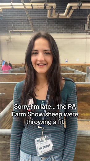 PA Farm Show on Instagram: "The sheep are dressed up and waiting to see you at the PA Farm Show! #PAFarmShow #GrowingANation"