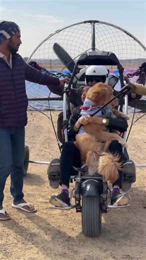 The Thrill of Takeoff and Landing: A Brave Flying Experience