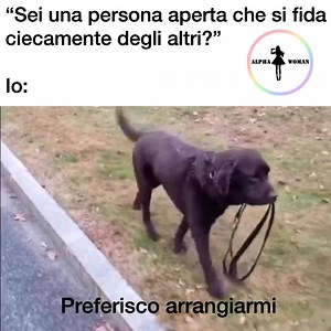 Chi fa da se fa per tre | Alpha Woman