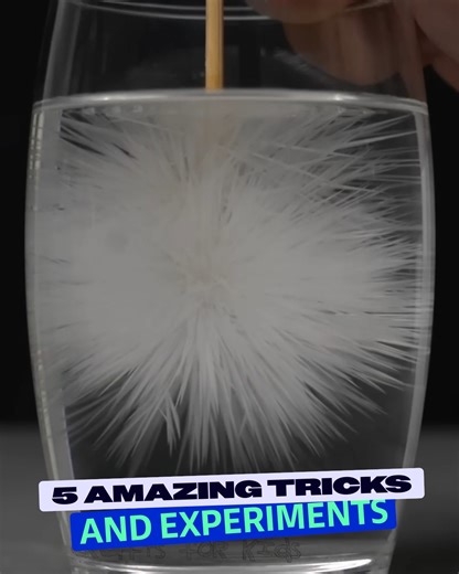 Bubbles Beyond Belief: Unveiling Mesmerizing Bubble Tricks! | Science Room