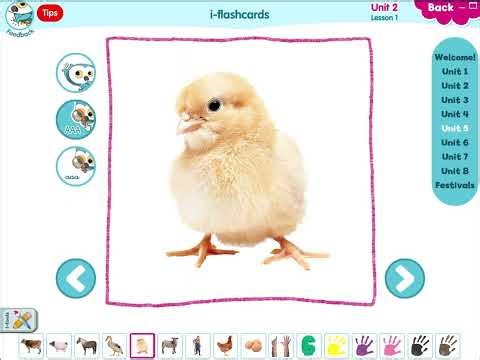 Learn with Ollie 2 Unit 5 i-Flashcards