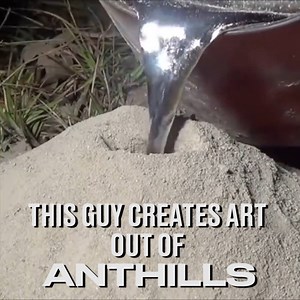 5.5M views · 9.1K shares | This is art like you've never seen before...wait for the finished product  Anthillart.com | LADbible | Facebook