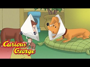 Curious George  George tries to help Hundley  Kids Cartoon  Kids Movies  Videos for Kids - Videos For Kids