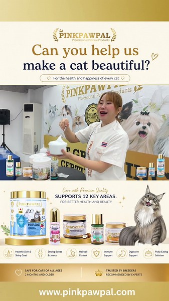 How to bathe a Maine Coon for a fluffy, show-quality coat